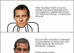 Enlace a Hoy en El Último Superviviente... Canis