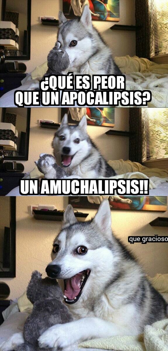 amucha,Apocalipsis,peor,Pun dog