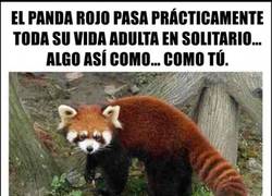 Enlace a No hay nada más que decir