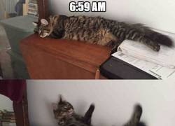 Enlace a Cuando compras un despertador nuevo