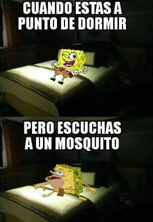 Bob Esponja,meme,Mosquito