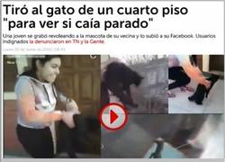 Enlace a La estupidez humana sigue avanzando