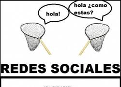 Enlace a Redes Sociales.