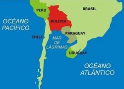 Enlace a Argentina tras la Copa América