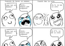 Enlace a Todos tenemos un compañero así