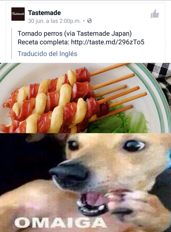 comida,facebook,fail,japon,perritos calientes,perro