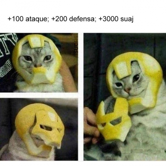 Meme_otros - Iron Cat 