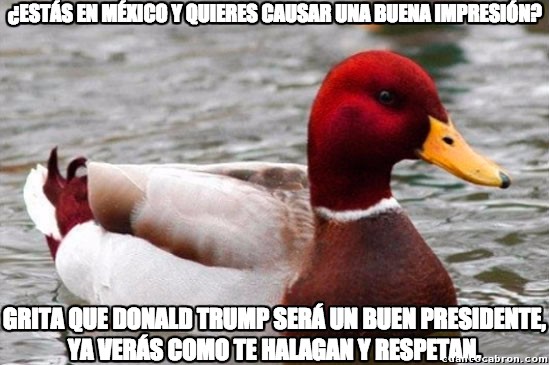 Buenos consejos,Donald Trump,México