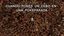 Enlace a ¡Todos a por él!