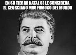 Enlace a Bad Luck Stalin