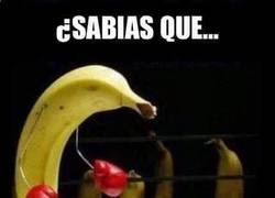 Enlace a Un extraño suceso