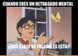 Enlace a Cuando ves algo por primera vez