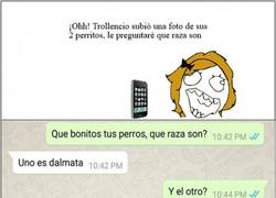 Enlace a El otro también