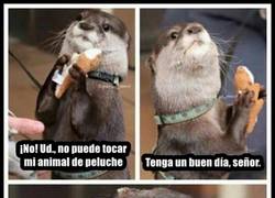 Enlace a Hay límites que es mejor no cruzar