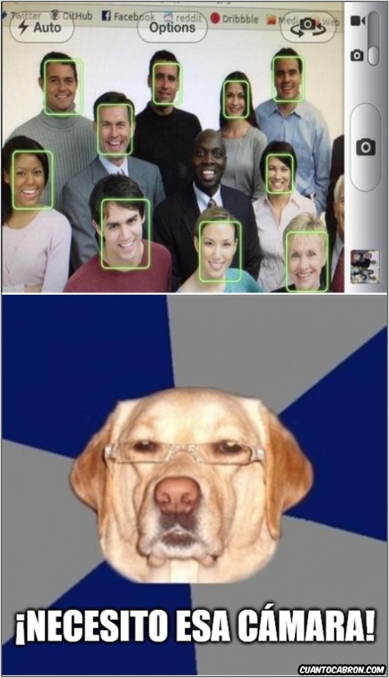 cámara fotográfica,celular,perro,perro racista,video