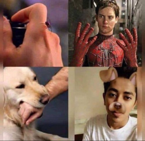 mordida,perro,snapchat,spiderman