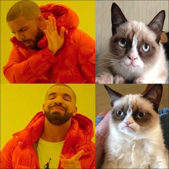 Grumpy_cat - Nos gusta como es