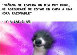 Enlace a Lo peor es que siempre es lo mismo