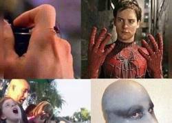 Enlace a ¡Mejor tener cuidado de ciertas mordeduras!