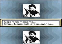 Enlace a Con Chuck no se juega