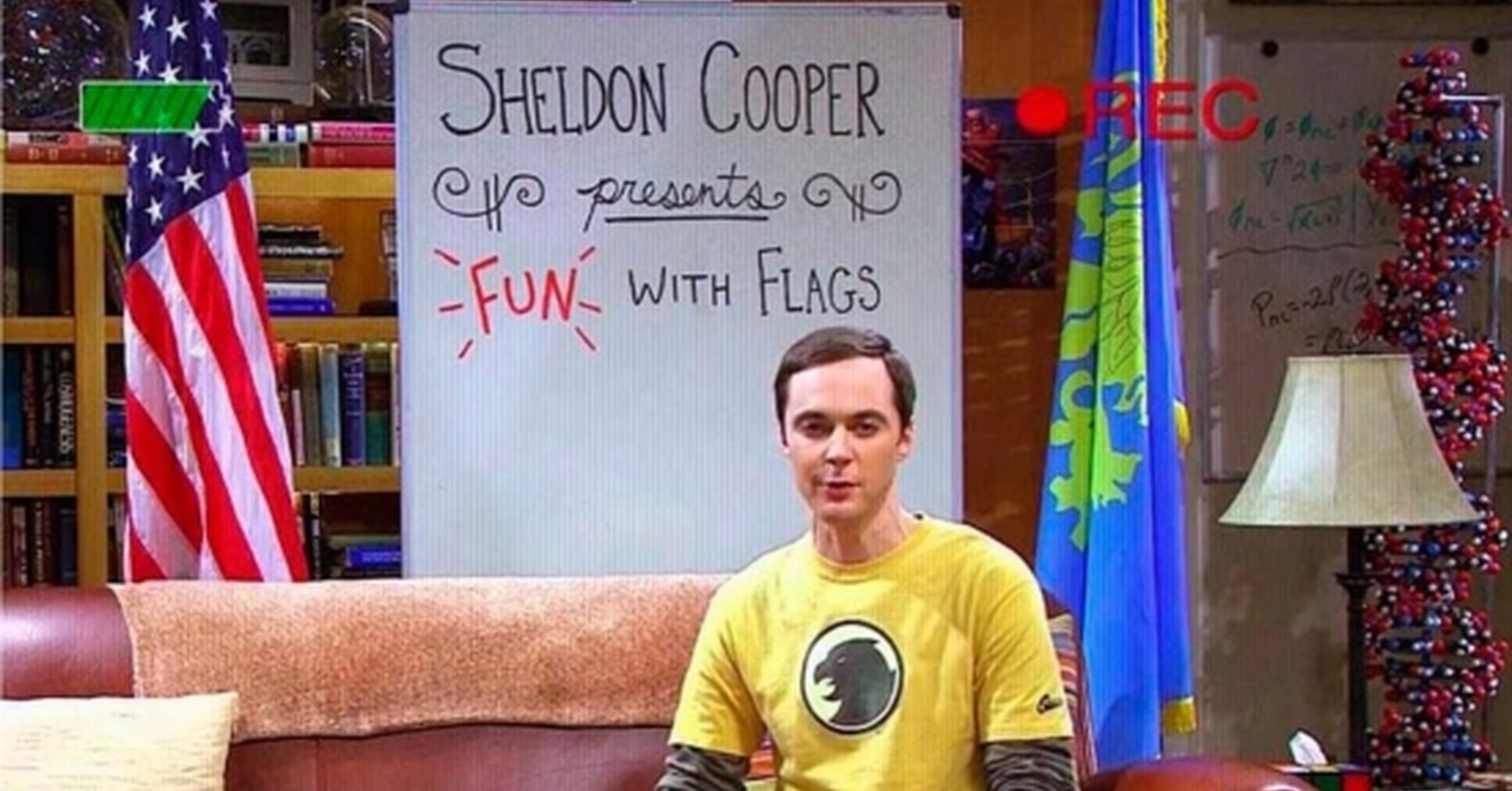 Fun theory. Занимательные флаги с Шелдоном Купером. Sheldon Cooper fun. Занимательные флаги с Шелдоном Купером Германия. Шоу занимательные флаги Шелдона.
