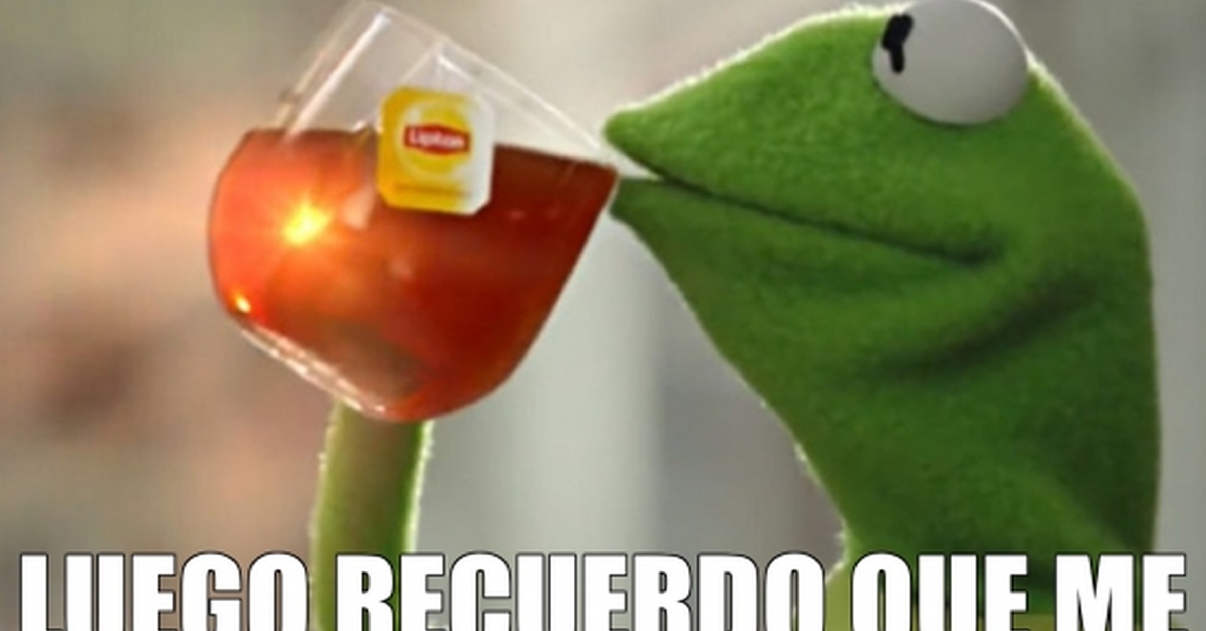 Чай мем. Девушка пьет чай мем. Кермит постеры. Sips tea. Sips tea.