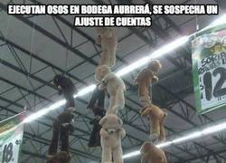 Enlace a ¡Una noticia lamentable!