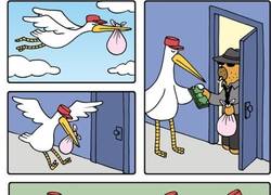 Enlace a No siempre traen bebes como se dice