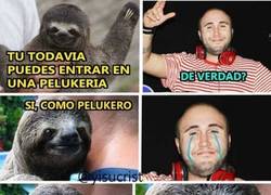 Enlace a Dj Kiko Rivera trolleado