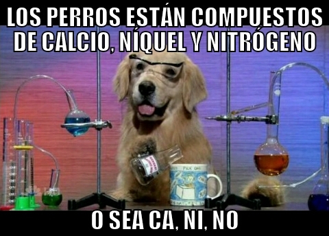 Gato_quimico - El perro químico