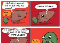 Enlace a ¡Eso no lo debes hacer!