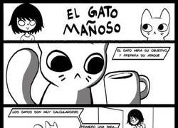 Enlace a La astucia de los gatos