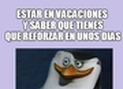 Enlace a Los clásicos de nuestro día a día