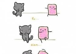 Enlace a Y así salió el Nyan Cat