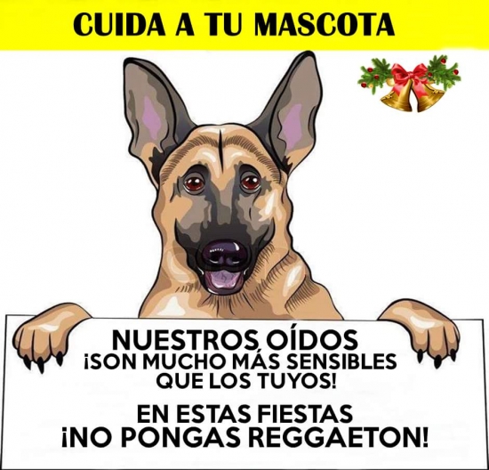 Perros reggaeton felices fiestas