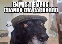 Enlace a Los tiempos pasan y el entretenimiento es otro