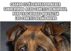 Enlace a Lo peor está por venir