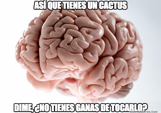 cactus,cerebro troll