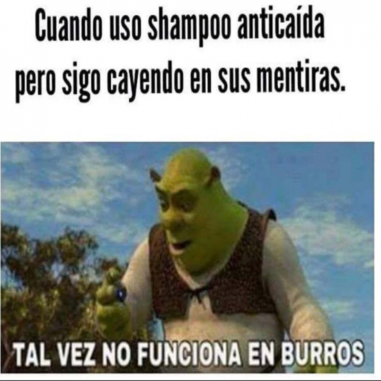 anticaida,burros,mentira,mentiras,shampoo,Shampoo anticaida,Shrek