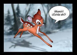 Enlace a Connor y sus locuras