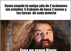 Enlace a Un héroe de la vida