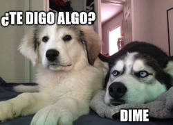 Enlace a ¿Te digo algo?