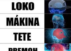 Enlace a La evolución cani