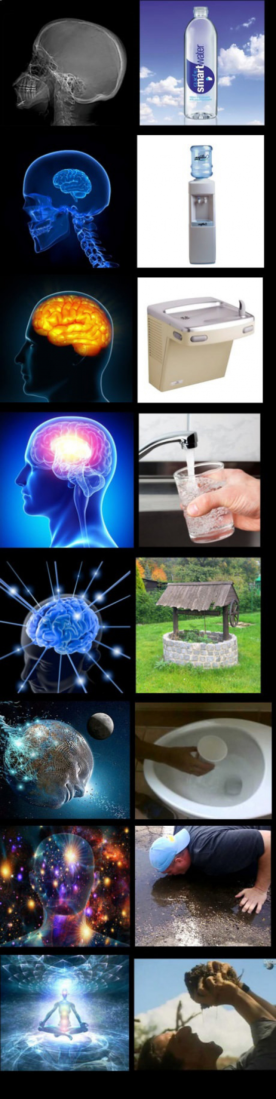 agua,evolución,formas,meme