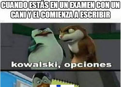Enlace a Es 1000 veces mejor que verlo escribir