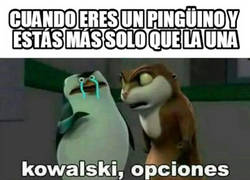 Enlace a Los Pingüinos de Madagascar predicen el futuro