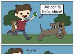 Enlace a Lo que pasa en la cabeza de un perro cuando lo engañas