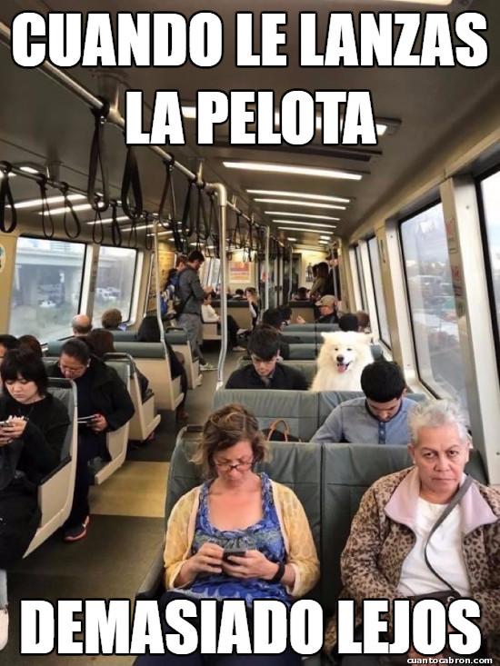 Meme_otros - Tiene que tomar el transporte público
