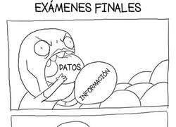 Enlace a El placer de los exámenes finales