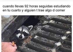 Enlace a Ese momento de alivio donde te traen comida